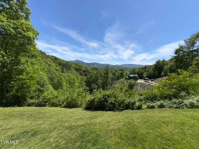 371 Buck Mountain Road, Roan Mountain, TN 37687