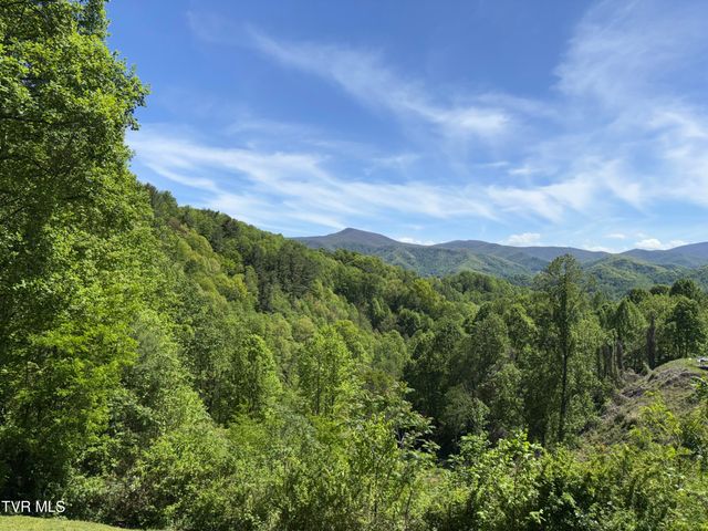 371 Buck Mountain Road, Roan Mountain, TN 37687