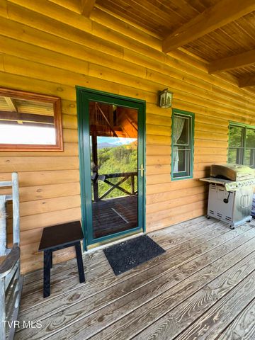371 Buck Mountain Road, Roan Mountain, TN 37687
