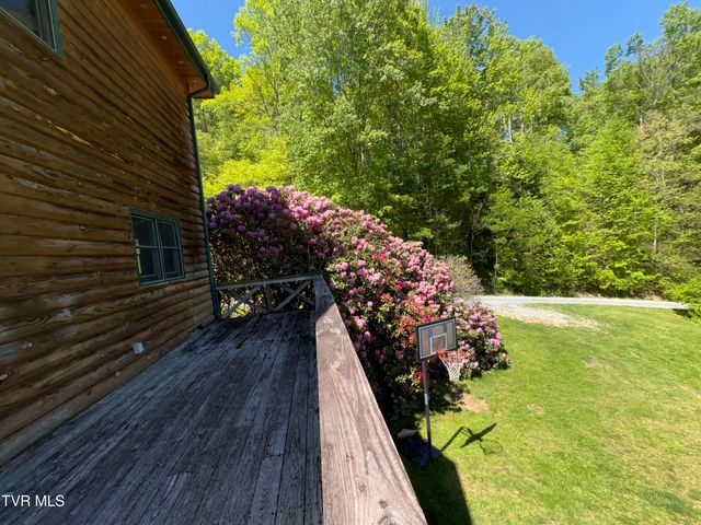371 Buck Mountain Road, Roan Mountain, TN 37687