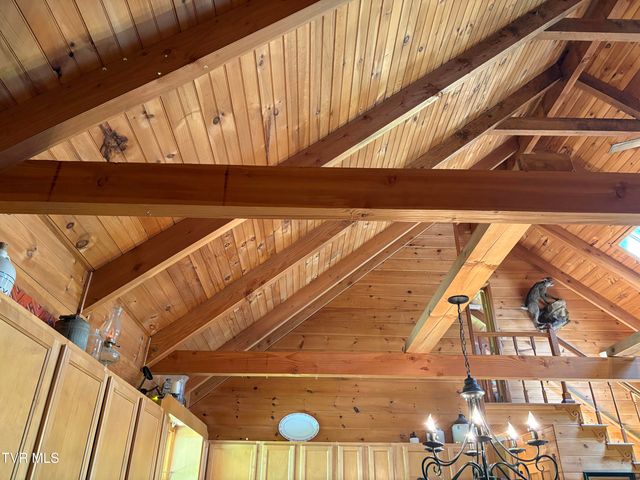 371 Buck Mountain Road, Roan Mountain, TN 37687