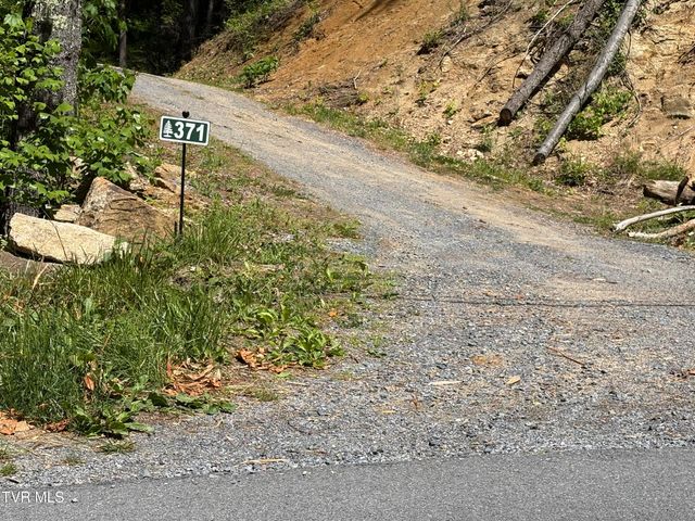 371 Buck Mountain Road, Roan Mountain, TN 37687