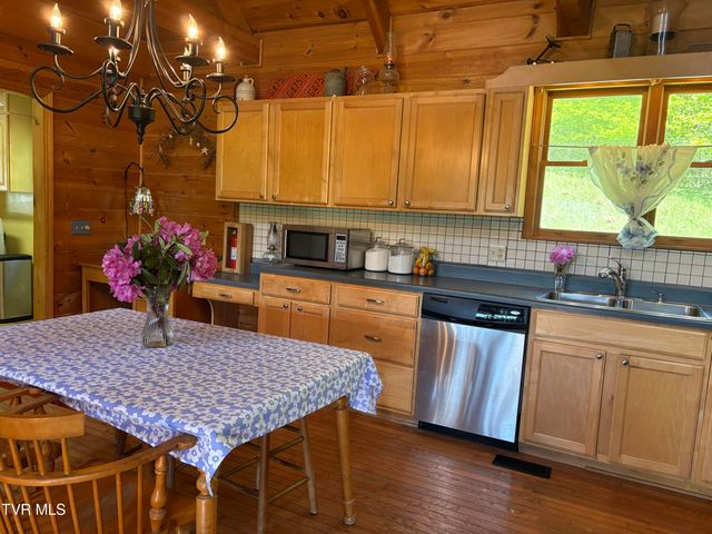 371 Buck Mountain Road, Roan Mountain, TN 37687