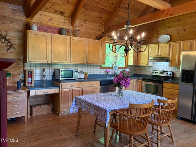 371 Buck Mountain Road, Roan Mountain, TN 37687
