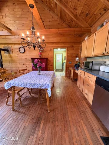 371 Buck Mountain Road, Roan Mountain, TN 37687