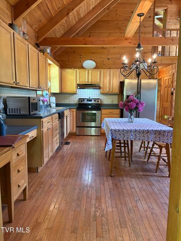 371 Buck Mountain Road, Roan Mountain, TN 37687