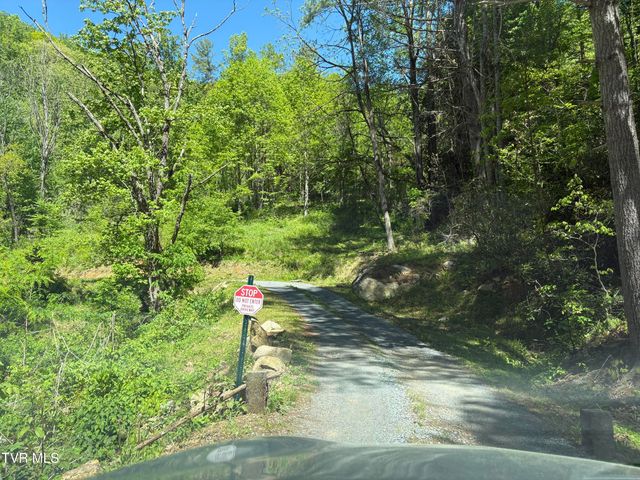 371 Buck Mountain Road, Roan Mountain, TN 37687
