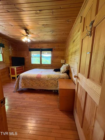 371 Buck Mountain Road, Roan Mountain, TN 37687