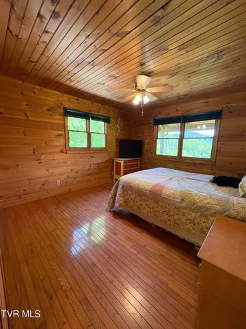 371 Buck Mountain Road, Roan Mountain, TN 37687
