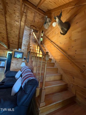 371 Buck Mountain Road, Roan Mountain, TN 37687