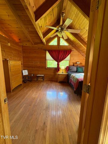 371 Buck Mountain Road, Roan Mountain, TN 37687