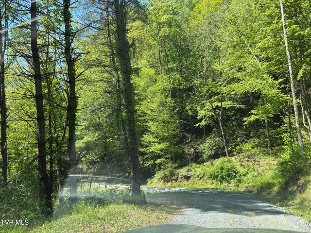 371 Buck Mountain Road, Roan Mountain, TN 37687