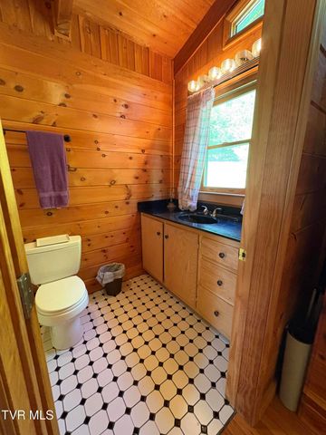 371 Buck Mountain Road, Roan Mountain, TN 37687