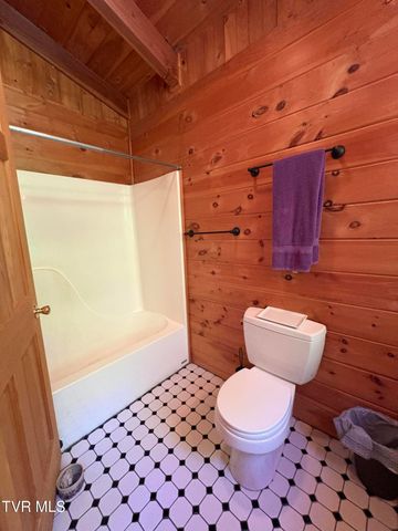 371 Buck Mountain Road, Roan Mountain, TN 37687