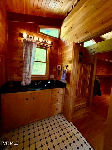 371 Buck Mountain Road, Roan Mountain, TN 37687