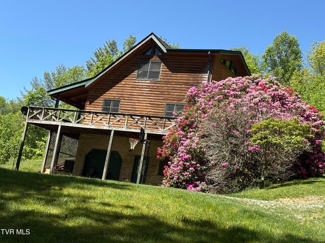 371 Buck Mountain Road, Roan Mountain, TN 37687