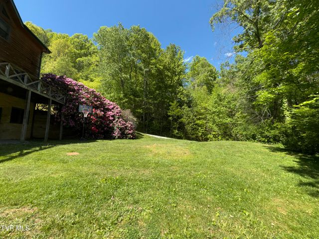 371 Buck Mountain Road, Roan Mountain, TN 37687