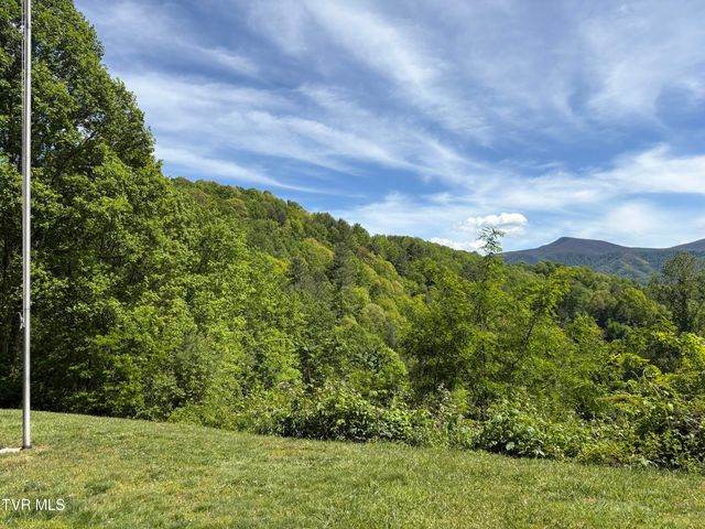 371 Buck Mountain Road, Roan Mountain, TN 37687