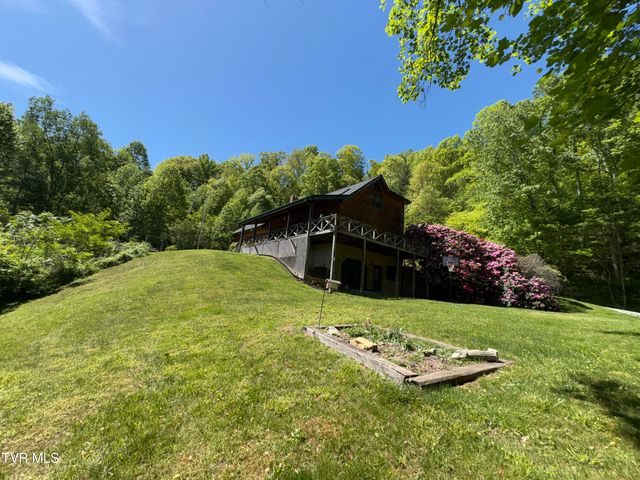 371 Buck Mountain Road, Roan Mountain, TN 37687