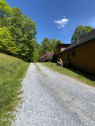 371 Buck Mountain Road, Roan Mountain, TN 37687