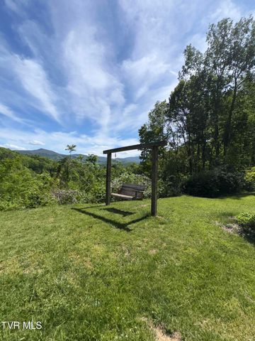 371 Buck Mountain Road, Roan Mountain, TN 37687