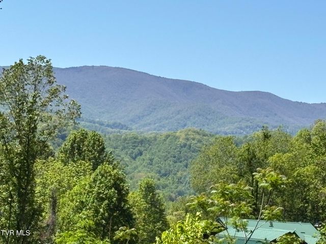 371 Buck Mountain Road, Roan Mountain, TN 37687