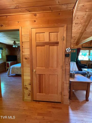371 Buck Mountain Road, Roan Mountain, TN 37687