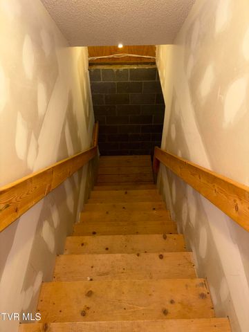 371 Buck Mountain Road, Roan Mountain, TN 37687