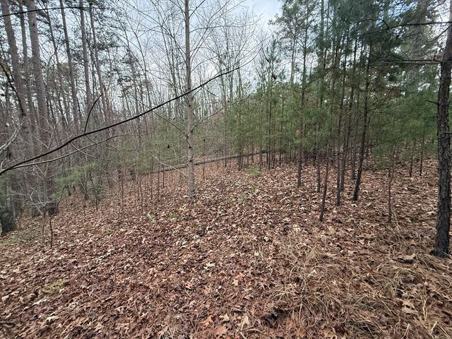0 Kesrel Ridge Circle, Murphy, NC 28906