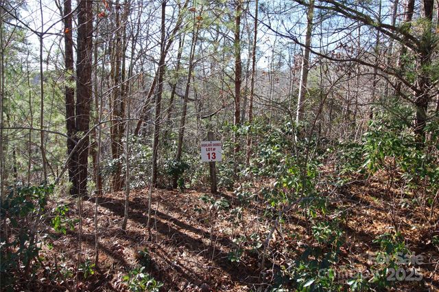 00 Highland Heights 11, Lake Lure, NC 28746