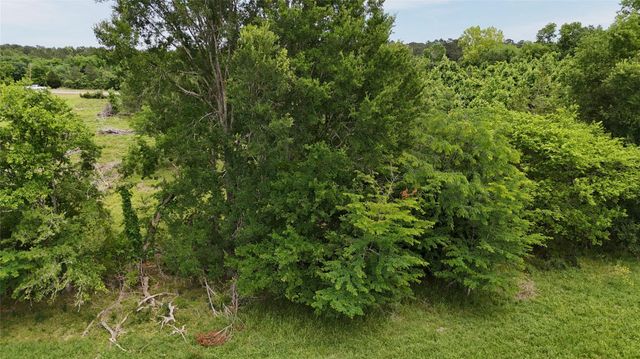 TBD 48 Acres Us Highway 59 S, Livingston, TX 77351