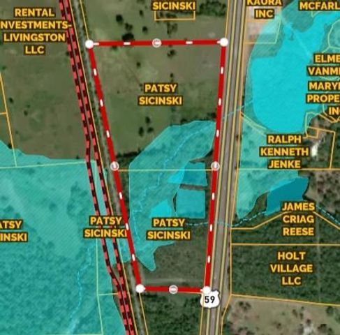 TBD 48 Acres Us Highway 59 S, Livingston, TX 77351