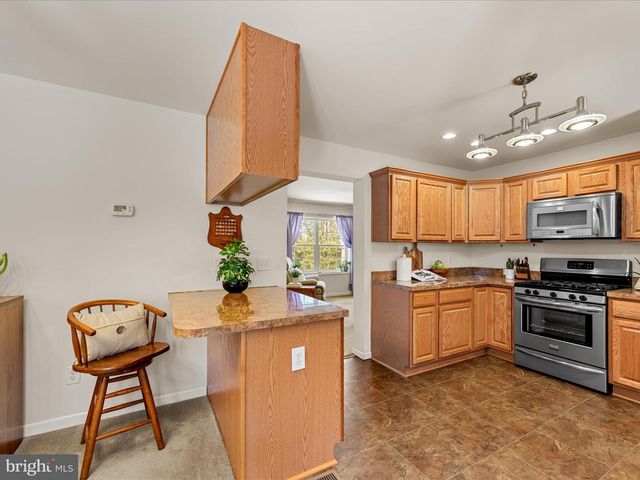 22119 PHILLIPS HILL RD, Millsboro, DE 19966