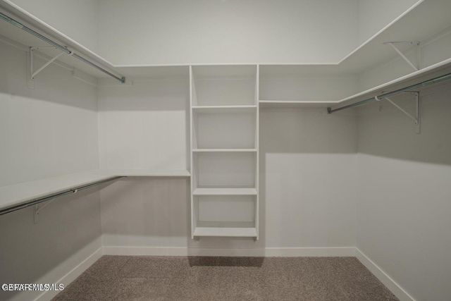 110 Bonnie Trail, Sunland Park, NM 88063