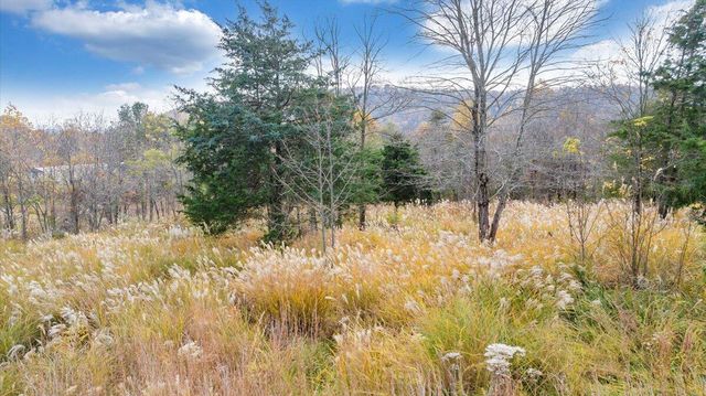 0 Briar Mountain RD, Rocky Mount, VA 24151