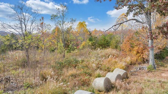 0 Briar Mountain RD, Rocky Mount, VA 24151