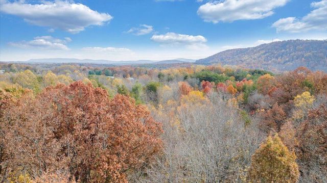 0 Briar Mountain RD, Rocky Mount, VA 24151