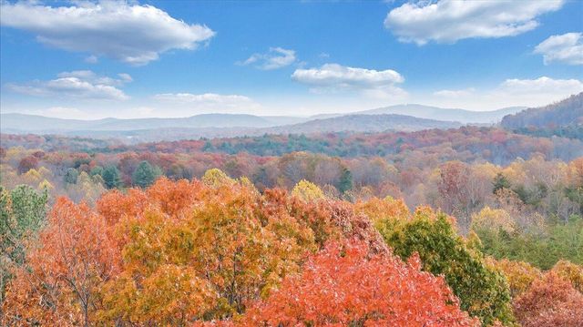 0 Briar Mountain RD, Rocky Mount, VA 24151