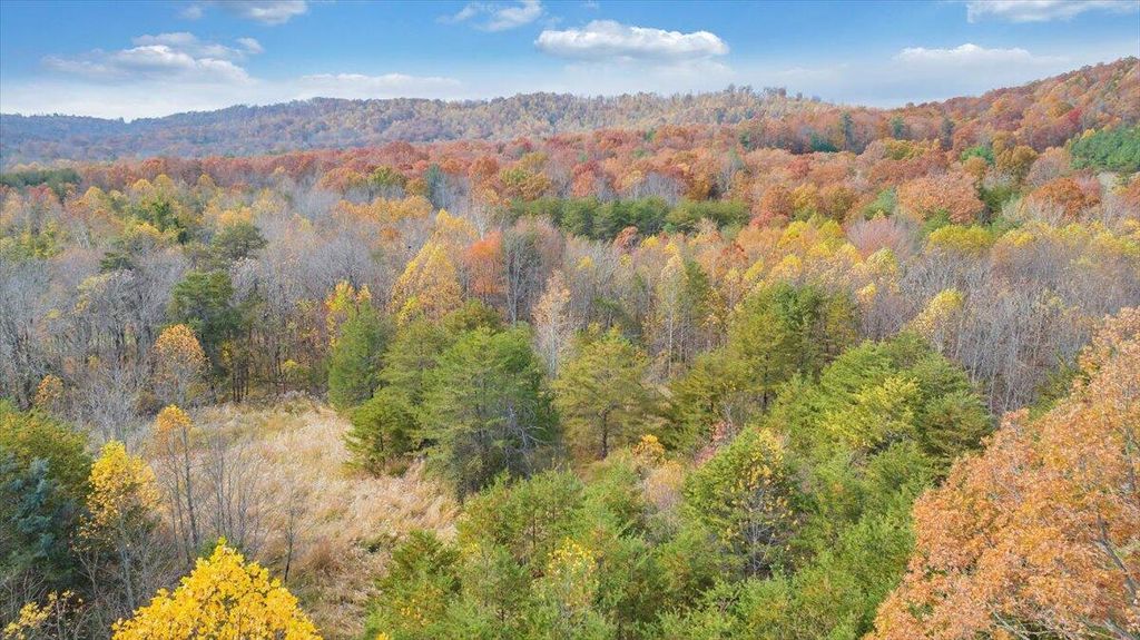 0 Briar Mountain RD, Rocky Mount, VA 24151