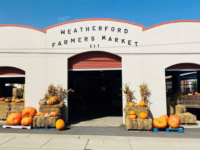 Lot 11 Pepperdine Dr, Weatherford, TX 76088