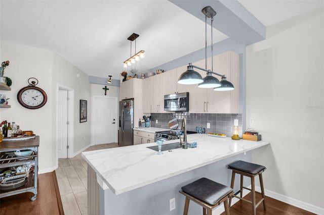 316 8TH STREET S 402, St Petersburg, FL 33701