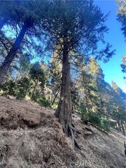 0 Reservoir, Cedarpines Park, CA 92322