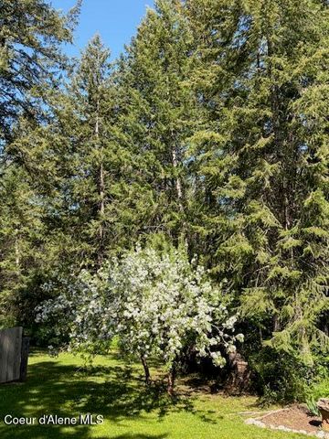 1639 W Hillsdale RD, Athol, ID 83801