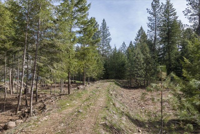 1208 E Silver Pine Rd, Colbert, WA 99005