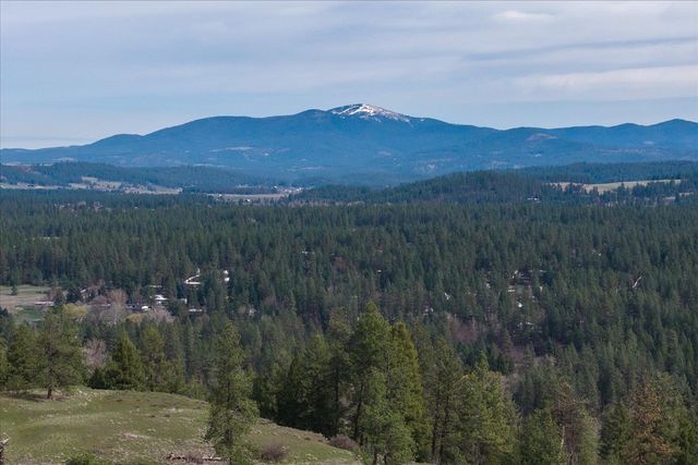 1208 E Silver Pine Rd, Colbert, WA 99005