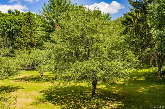10 Hoffman Road, Fremont Center, NY 12741