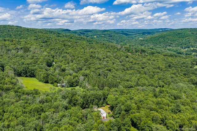 10 Hoffman Road, Fremont Center, NY 12741