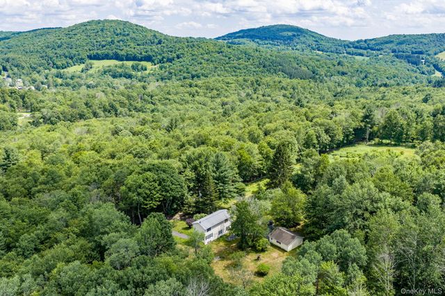 10 Hoffman Road, Fremont Center, NY 12741
