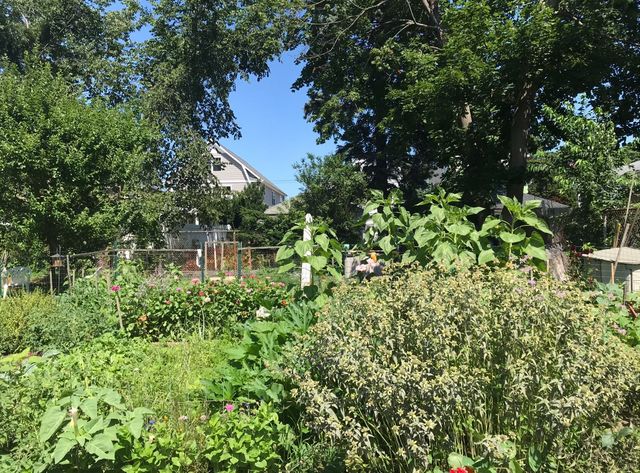 37 Rowsley Street 6, Bridgeport, CT 06605