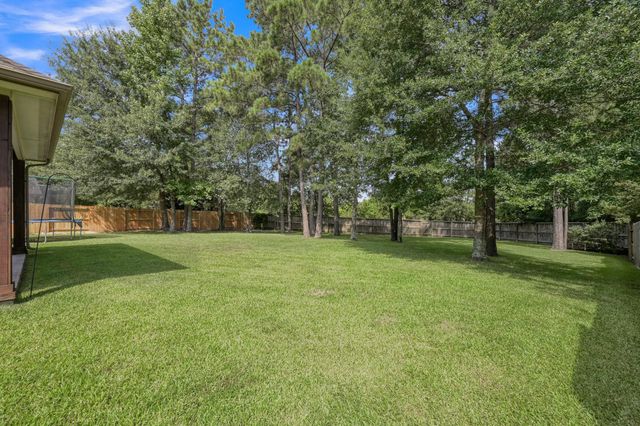 190 Climbing Oaks Place, Montgomery, TX 77316